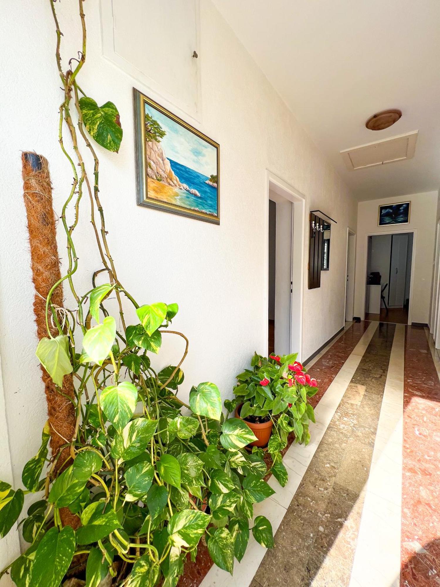 Apartment Bava Dubrovnik Exterior foto